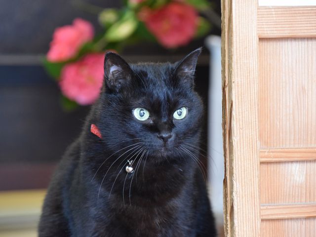 ނllRłBlRD́̕A̎qKłB_d_