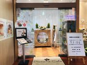 ߂̂̃vAJtF Plumeria Cafe̓eʐ^3