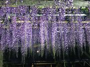 ߂̂̋T˓V_̓̓eʐ^5