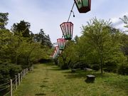 ���ʂ�����̈�{�������̓��e�ʐ^1