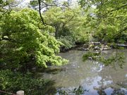 ���ʂ�����̈�{�������̓��e�ʐ^2