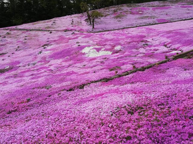 太陽の丘えんがる公園「虹のひろば」】アクセス・営業時間・料金