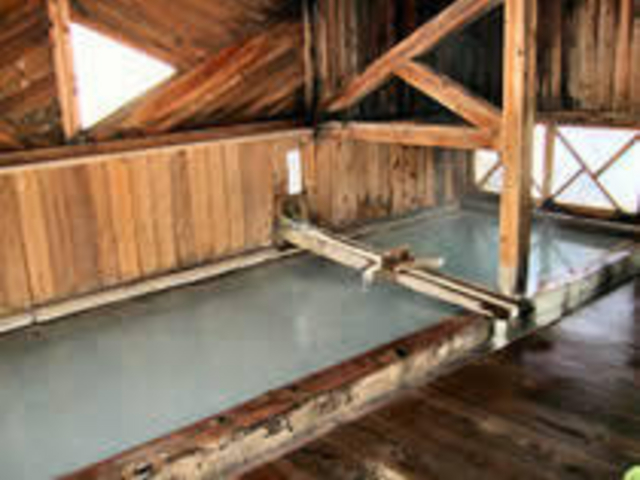 ����_�����̓�