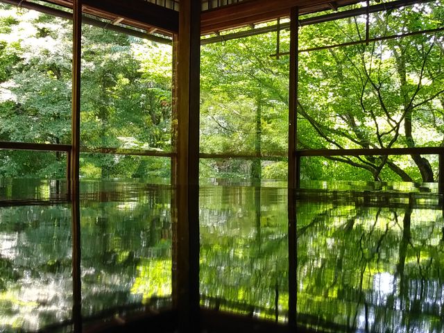 �ʌo���ɉf�荞�݂܂�_�ڗ����@