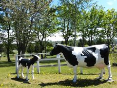 �Ђ��������Ɠ����ق̎ʐ^1