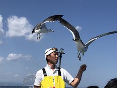 䂫҂̏M̓AN[Yւ̓eʐ^1