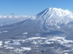 tXs[h̃OEqtւ̓eʐ^1