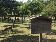 TXL����̕Љ��~�т̓��e�ʐ^1