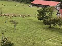 コ̊كPX@A[Nqւ̓eʐ^1