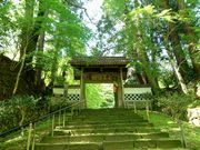 ݂񂳂̊ocRi̓eʐ^1