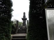 �g�����\����̉���̕�̓��e�ʐ^1