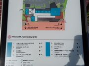 ͂炷[̒nsn}eX̓eʐ^2