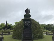 �܂�����̏}�����l�˂̓��e�ʐ^1