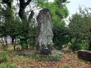 ܂̗̓{(؏d{j̓eʐ^1