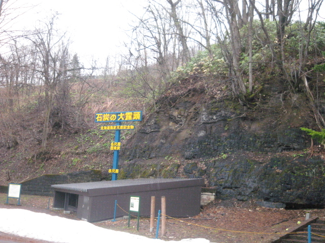 �I��_�ΒY������