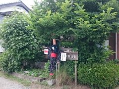 �܂�܂���̗��ؓc���R�H�[�ւ̓��e�ʐ^1