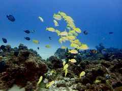 Nb`̃_Cuibcւ̓eʐ^1