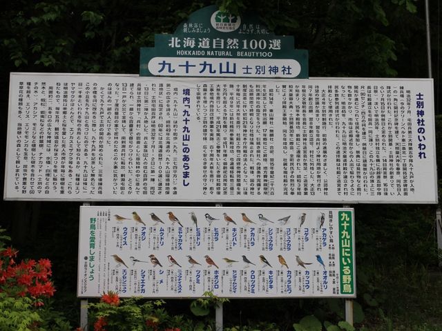 �k�C�����R�S�I_�m�ʐ_��