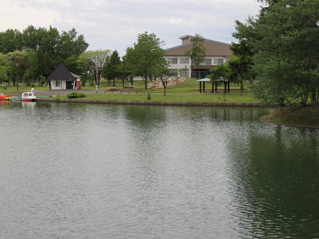 �Â��Ȍ���_������������