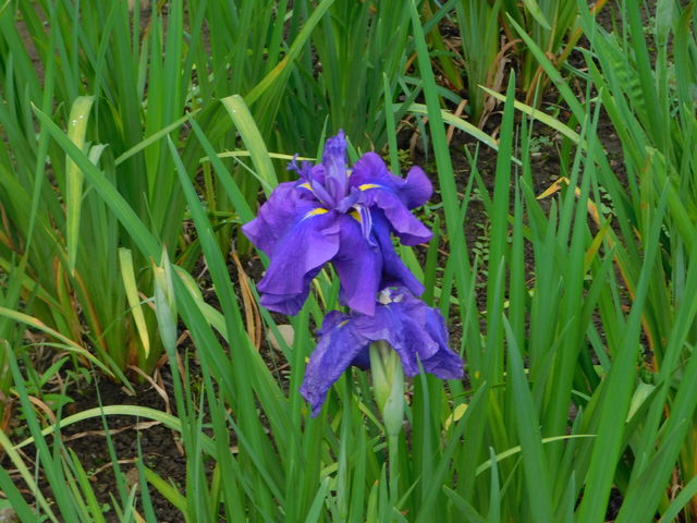 ̕t߂̏Ҋ̎ʐ^_炩̒r