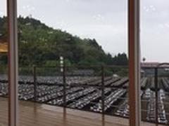 �Ђ��͂񂳂�̍��|�K�[�f���┨ SHOP&RESTAURANT�ւ̓��e�ʐ^1