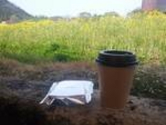 p_}jÃR[i ߍ]ւ̓eʐ^1