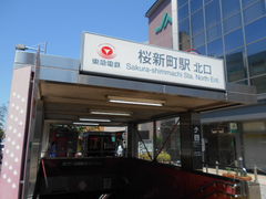 gV[̓}css Vwւ̓eʐ^1