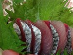 Ђ͂񂳂̃yVTCւ̓eʐ^1