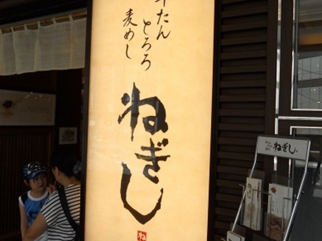 ˂UENO3153X_˂UENO3153X