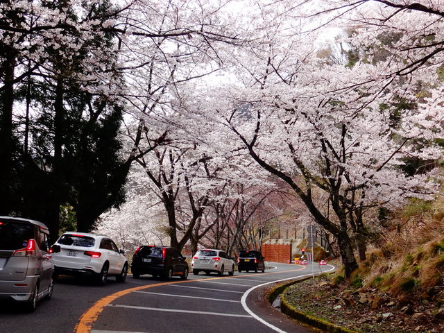 �����i�΃p�[�N�E�F�C_�����i�΃p�[�N�E�F�C