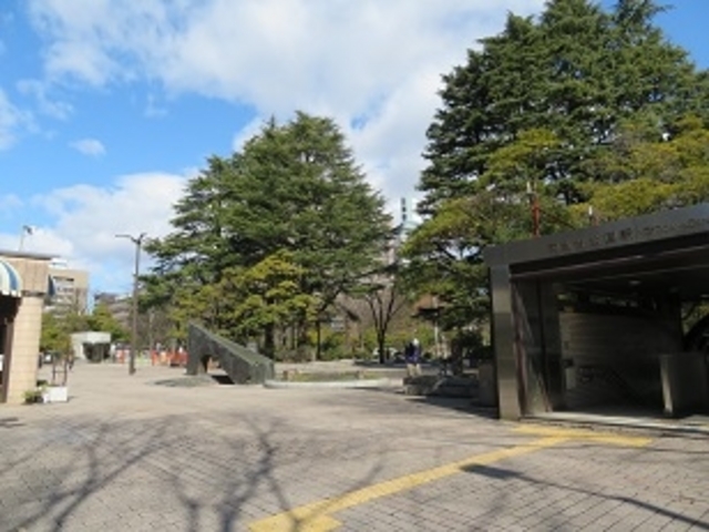 ���������_���������