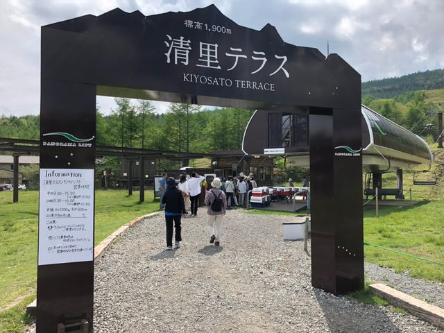 �����e���X