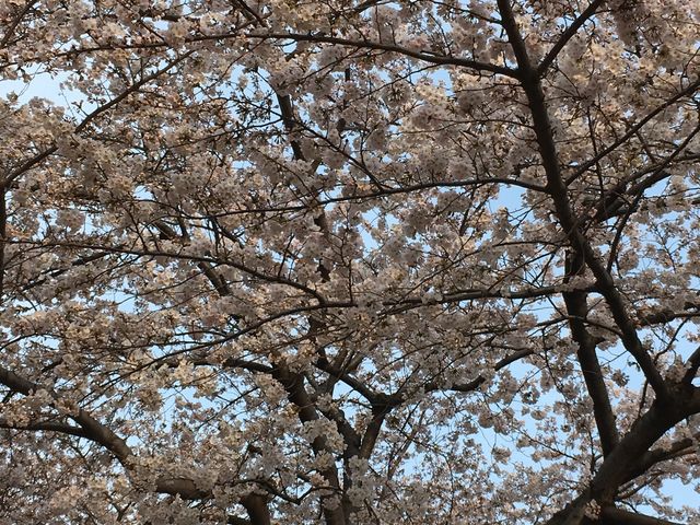 �������ꂢ_�΃��u����