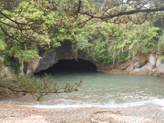 gV[̐̓A (V)ւ̓eʐ^1