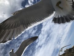 Ё[񂳂̏M̓AN[Yւ̓eʐ^1