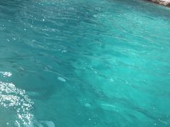 Ё[񂳂̏M̓AN[Yւ̓eʐ^2