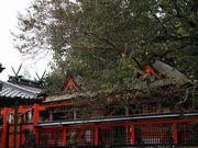 Yanwenli̒Oȕ_Ђ̓eʐ^3