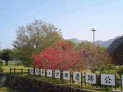 �Â���̓��L�N�E���c��Ռ����̓��e�ʐ^1