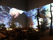 ̌F{sc␼푈ق̓eʐ^2