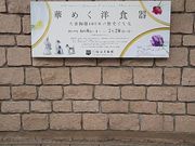 T[x^CK[̏aJ旧pق̓eʐ^1