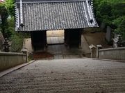 ��[����̌䑳�V���{�̓��e�ʐ^1