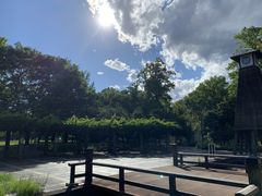 ��傳��̐��������ւ̓��e�ʐ^1