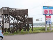 Ƃ񂳂̓̉w ʂ̓eʐ^5