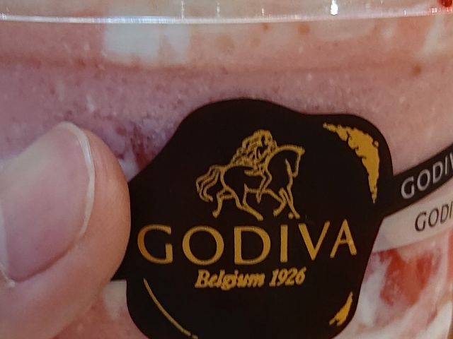 イ̃SfBo AgXX̓eʐ^1