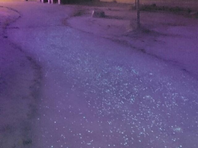 道
_摩耶山