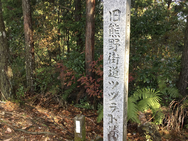 悱܂̌FÓ@cdg̓eʐ^1