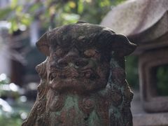 Yanwenli����̈�����䗅�{�ւ̓��e�ʐ^2