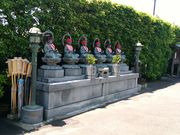 ����ς炳��̔~���T���̓��e�ʐ^2