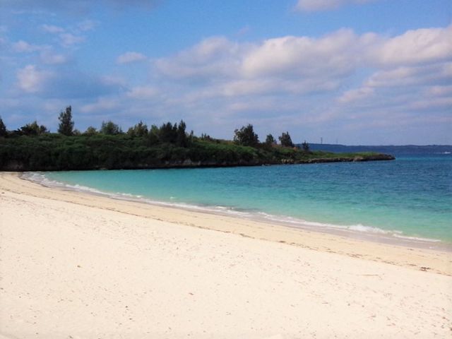 �p�C�i�K�}�r�[�`�i�p�C�i�K�}�j_�p�C�i�K�}�r�[�`