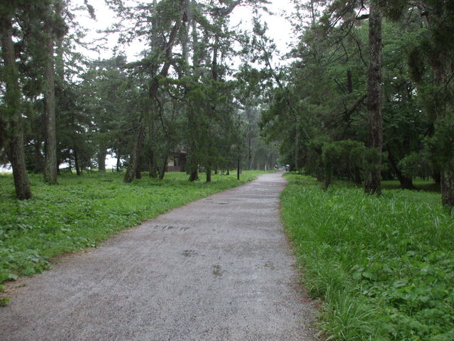 �V�����̏����̒��̓�_�V����